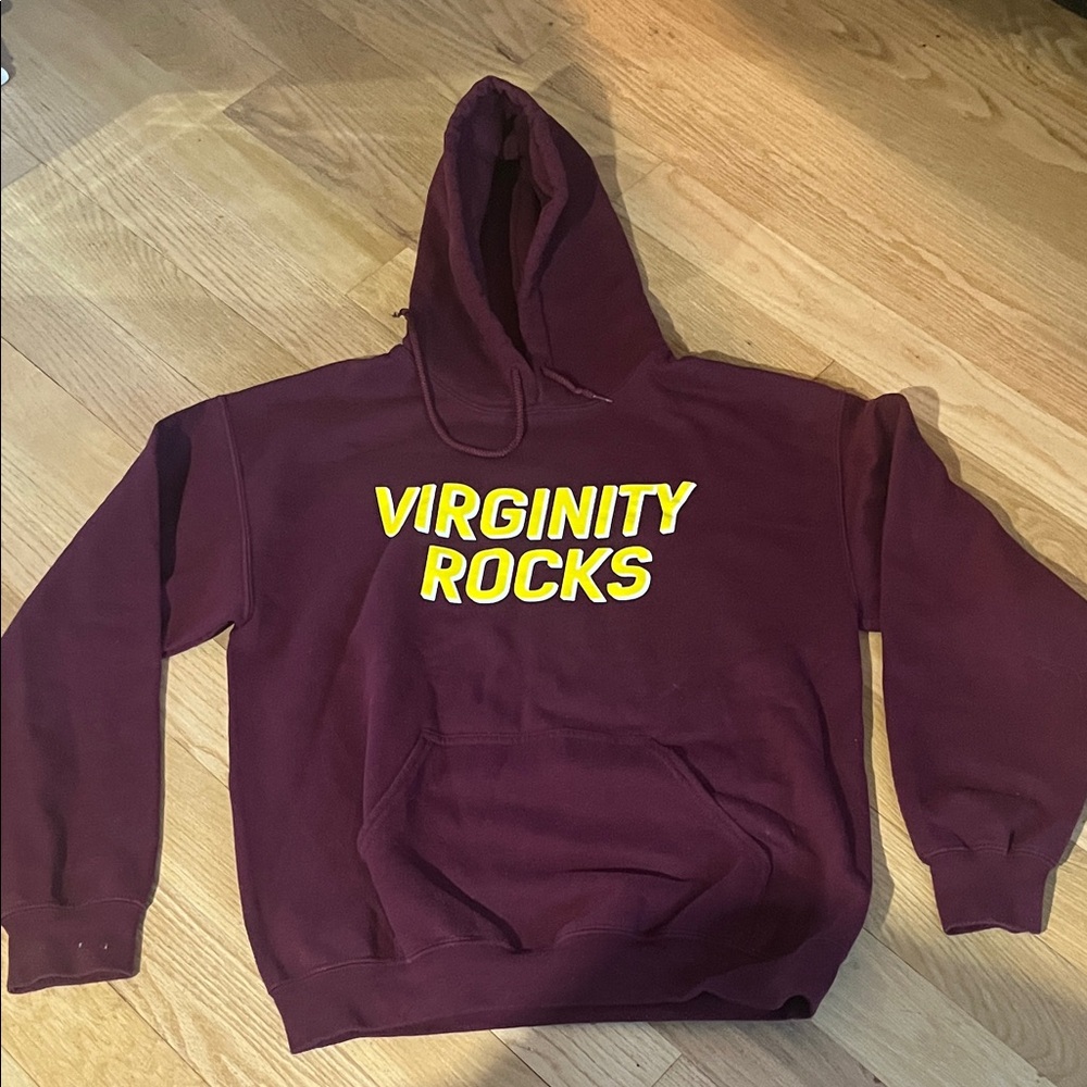 Danny Duncan Virginity Rocks Hoodie